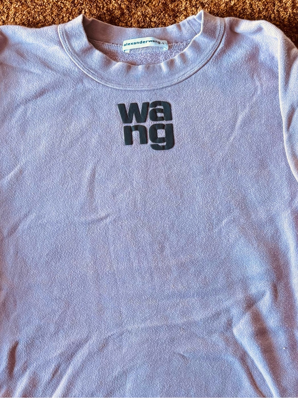 Alexander Wang Logo Embroidered Sweatshirt